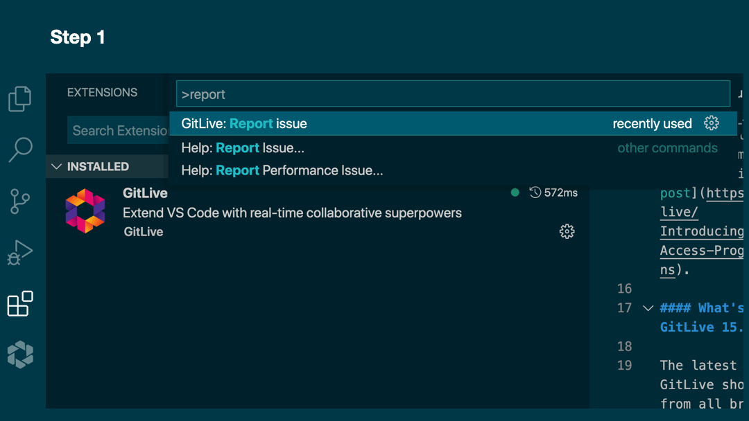 GitLive Error Report