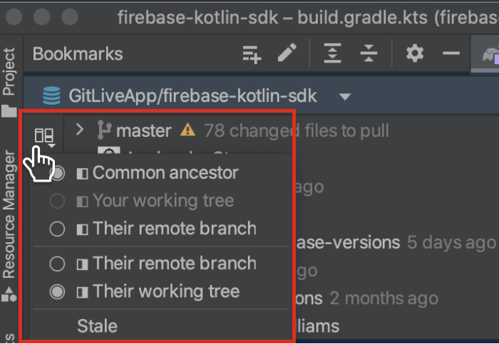 Repository view options