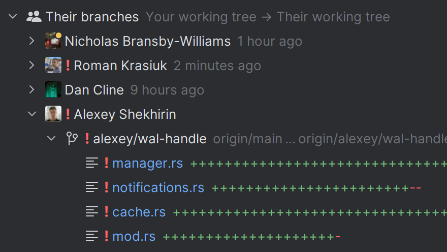 Their branches in JetBrains