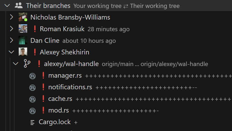 Their branches in VSCode