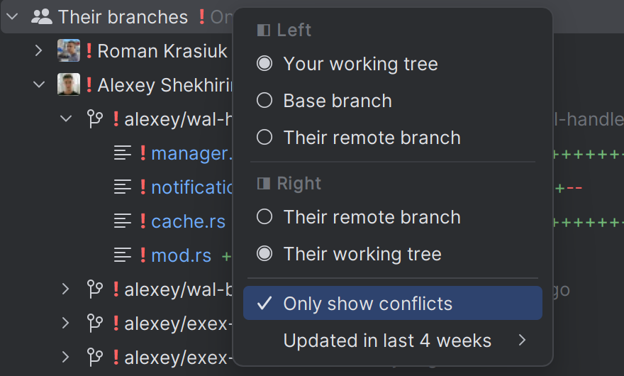 Their branches view options in JetBrains