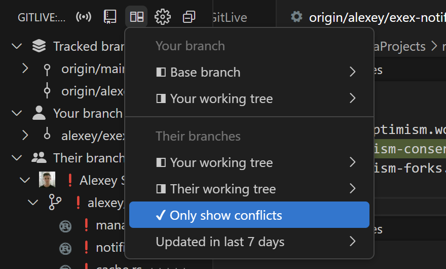 Their branches view options in VSCode