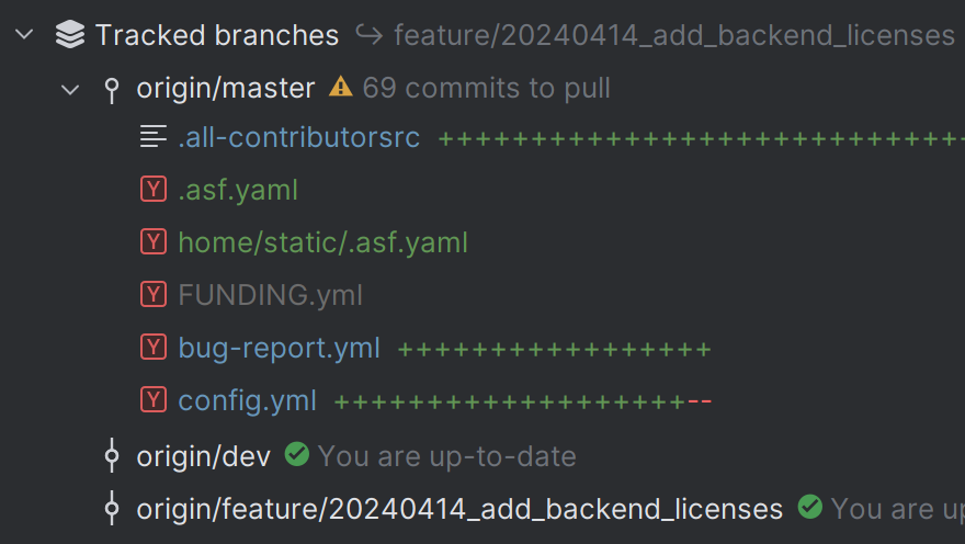 Tracked branches in JetBrains